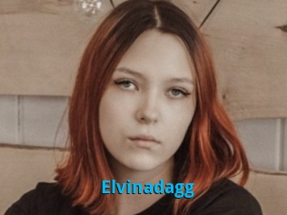 Elvinadagg