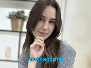 Elvinagomer