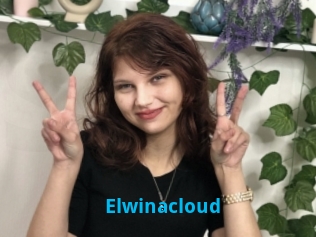 Elwinacloud