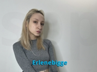 Erlenebigge