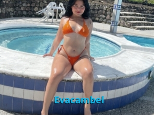 Evacambel