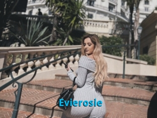 Evierosie