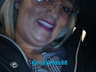 Grosseins88