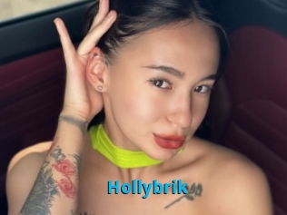 Hollybrik