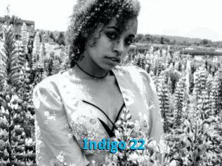 Indigo_22