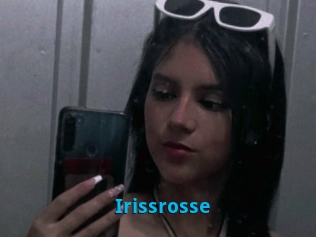 Irissrosse