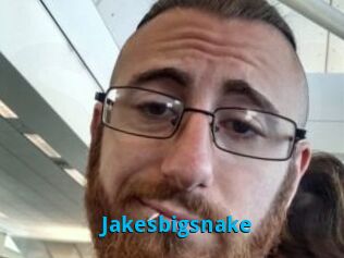 Jakesbigsnake