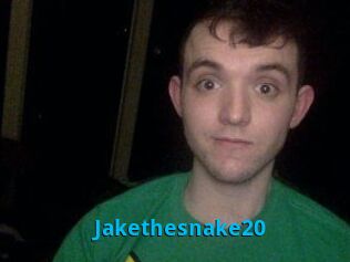 Jakethesnake20