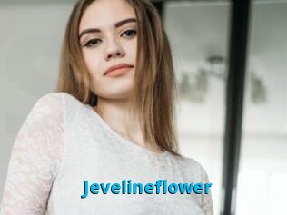 Jevelineflower