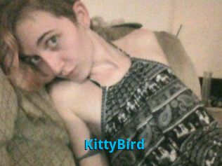 KittyBird