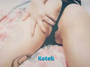 Kotek