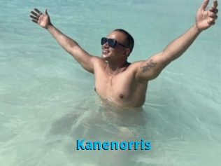 kanenorris Stinkypinkpimpin
