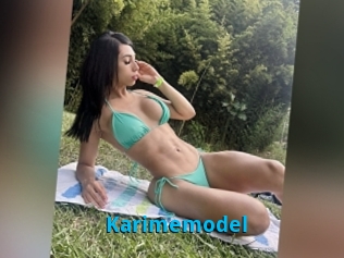 Karimemodel