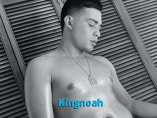 kingnoah Stinkypinkpimpin