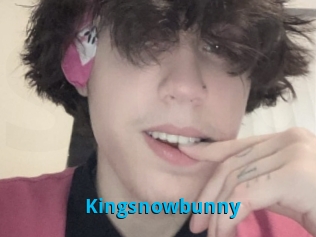 Kingsnowbunny