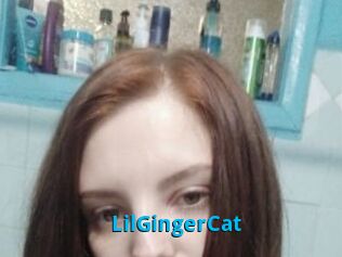 LilGingerCat