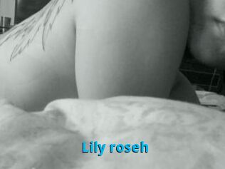 Lily_roseh