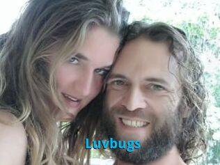 Luvbugs