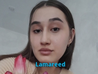 Lamareed