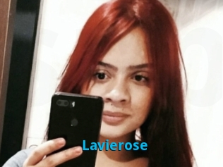 Lavierose