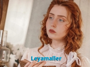 Leyamaller