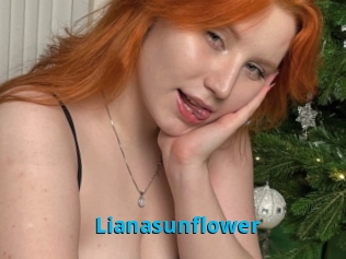 Lianasunflower