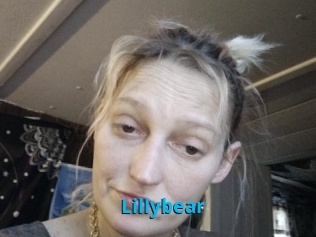 Lillybear