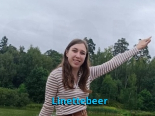 Linettebeer