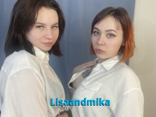 Lisaandmika