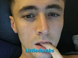 Littledumbs