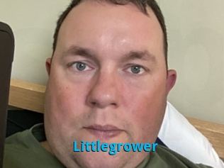 Littlegrower