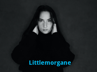 Littlemorgane