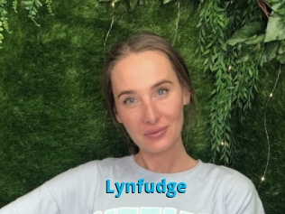 Lynfudge