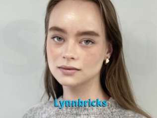 Lynnbricks