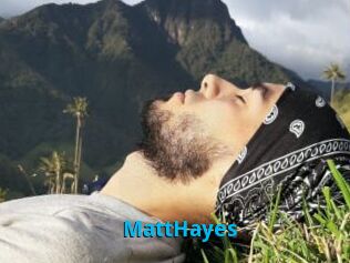 MattHayes