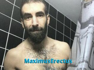 MaximusErectus