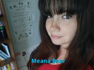 Meana_Bear