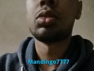 Mandingo7777