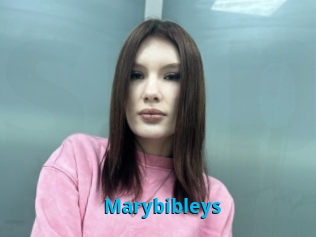 Marybibleys