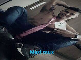 Maxi_mux