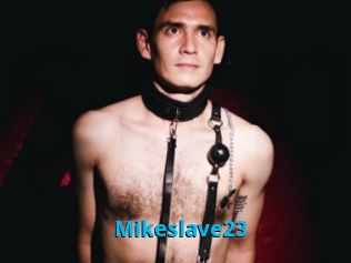 Mikeslave23