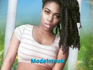 Modelmook