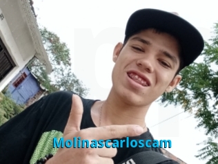 Molinascarloscam