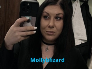 Mollyblizard