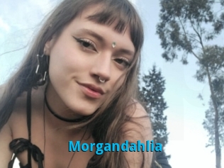 Morgandahlia
