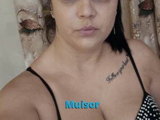 Muisor