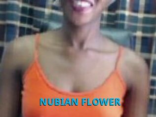 _NUBIAN_FLOWER_