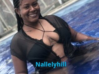 Nallelyhill