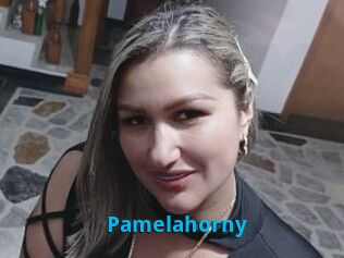 Pamelahorny