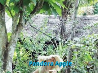 Pandora_Apple